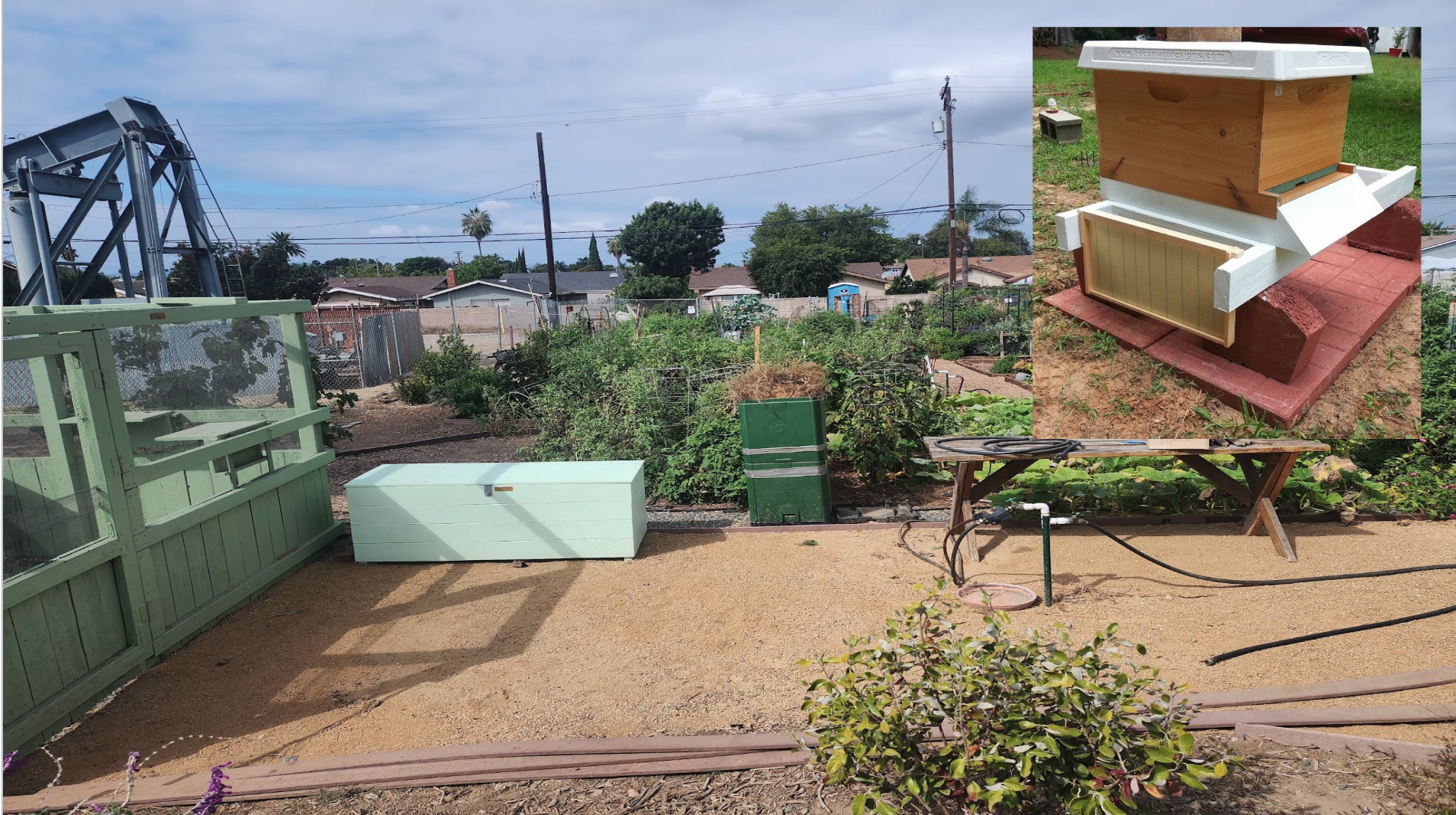 After: the lot transformed into a maintained pollinator habitat.