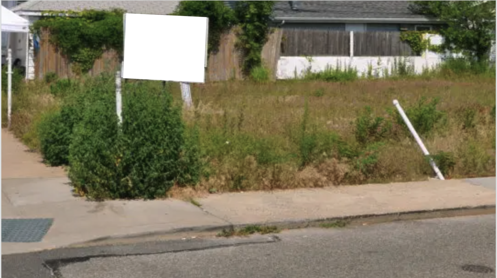 Before: an underused lot prior to habitat work.